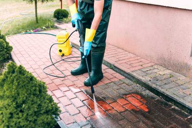 Best Driveway Pressure Washing  in Toftrees, PA